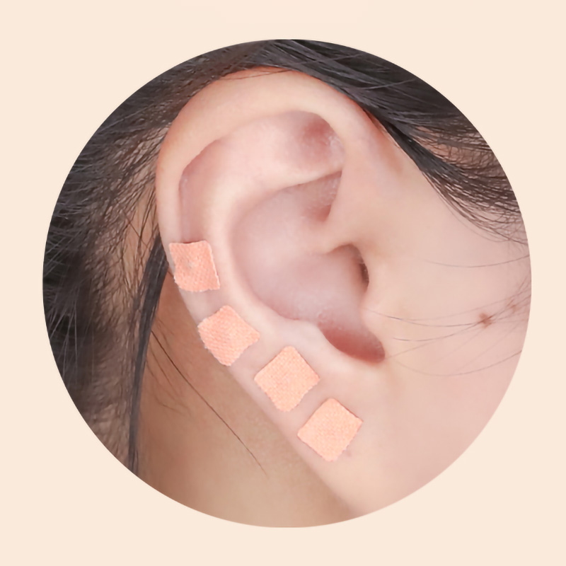 Herbal Wellness Massage - 600Pcs Cowherb Seed Ear Stickers –